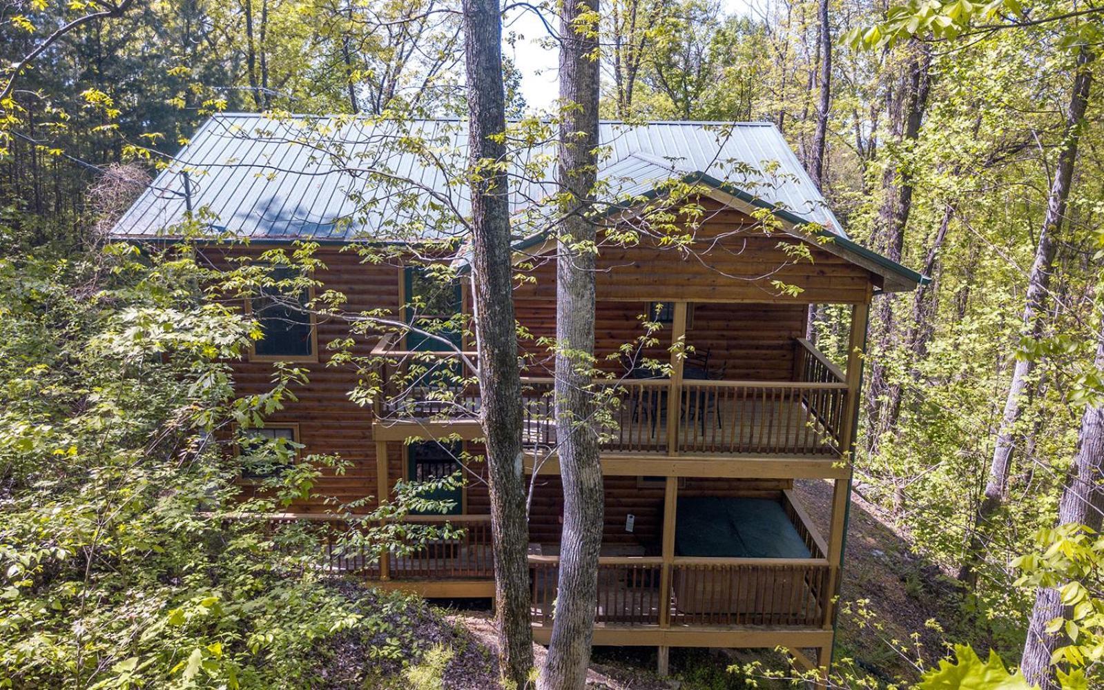 Little Bear Cabin Гетлинбург Екстериор снимка